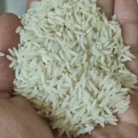 برنج طارم فریدونکنار