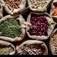 حبوبات زیر قیمت با کیفیت‌ کلی جزئی