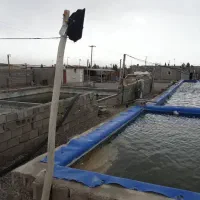 اجاره استخر پرورش ماهی آب شور|اجارهٔ دفتر صنعتی، کشاورزی، تجاری|اصفهان, قهاب جنوبی|دیوار