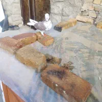 کبوتر|حیوانات|میاندوآب, |دیوار