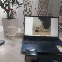 حجامت ودرمان بیماریهای زنان با طب سنتی