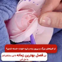 جراحی زنان لابیاپلاستی|خدمات آرایشگری و زیبایی|تهران, عبدل‌آباد|دیوار