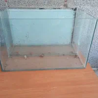 دوتا اکواریوم ۷۰سانتی یکی دو لایس یکیش یک لایه