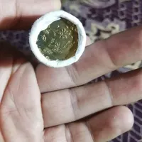 رول سکه|کلکسیون سکه، تمبر، اسکناس|شهرضا, |دیوار