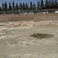 ۱۰۰۰ متر زمین فروشی باغستان