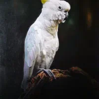 آموزش طراحی ،سیاه قلم و نقاشی حرفه ای