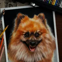 آموزش نقاشی