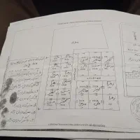 زمین