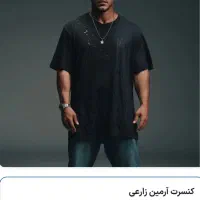 کنسرت آرمین زارعی هتل اسپیناس پالاس