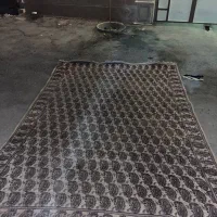 فرش دست بافت ابریشم|فرش|جهرم, |دیوار