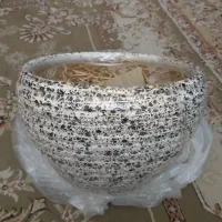 گلدان سفالی بزرگ نو|گل و گیاه طبیعی|تهران, مخصوص|دیوار