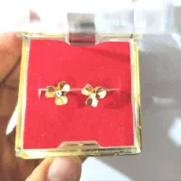گل گوش طلا نو