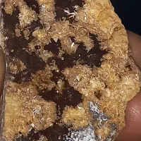 رگه طلا با عیار بالا