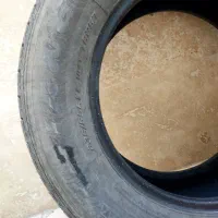 لاستیک تری انگل