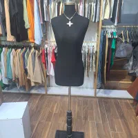 مانکن سوزن خور