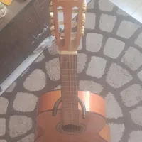 گیتار بست فان مدل e160 best fun|گیتار، بیس، امپلیفایر|گرمدره, |دیوار