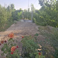 باغ660متری-دهشادپایین