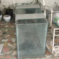 فروش آکواریوم بزرگ|ماهی|نوشهر, |دیوار