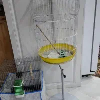 قفس پرنده