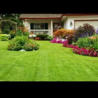 نیازمند یه خانم برای آشپزی برای مادر سالم