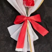 ۵عددگل جاودان ۱۸۰تومن