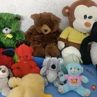 عروسک خرسی|اسباب‌‌بازی|اندیشه, اندیشه فاز ۲|دیوار