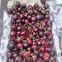 نیازمند کارگر میوه فروشی