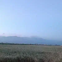 زمین-ملکی2هزارمتر