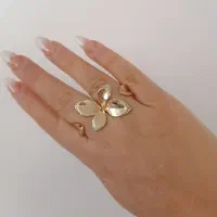 بدلیجات رنگ ثابت