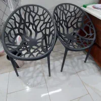 وسایل آرایشگاه|آرایشگاه و سالن‌های زیبایی|اردکان, |دیوار