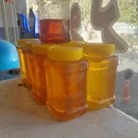 عسل طبیعی سبلان ۱۰۰ درصد طبیعی|خوردنی و آشامیدنی|فردیس, سرحدی|دیوار