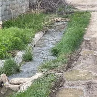 باغ داخل مجموعه باآب باسند ملکی اخلمدفقط۳۷۵میلیون|فروش زمین و ملک کلنگی|چناران, |دیوار