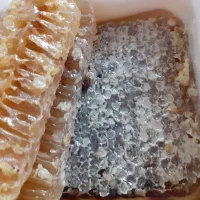 عسل ارگانیک اصل سبلان
