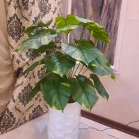 درختچه مصنوعی|گل مصنوعی|گلبهار, شهر جدید گلبهار|دیوار