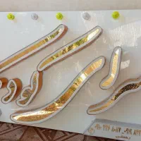 تابلوچلنیوم|فروشگاه و مغازه|زنجان, |دیوار