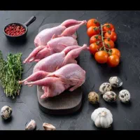 بلدرچین کشتاری کیلویی و دونه ای