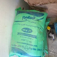 بذر یونجه بغدادی