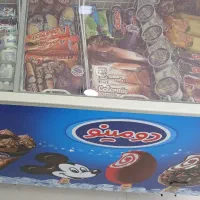 فریزر امانی و رایگان از شرکت دومینو تحویل بگیرید