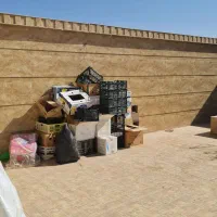 کارتن موزی و سبد میوه ای