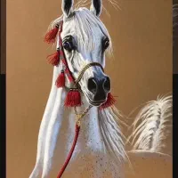 نریان دو سر وارداتی