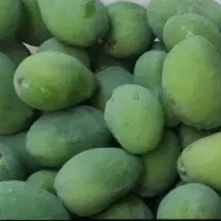 انبه محلی