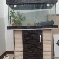 اکواریوم