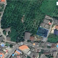 فروش باغ مشجر 630 متری در چالوس