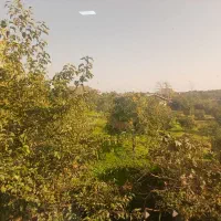 اجاره سالیانه هتل ، تالار ، رستوران|اجارهٔ مغازه و غرفه|گرمدره, |دیوار