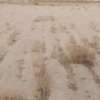 زمین-به-متراژ-6هکتار