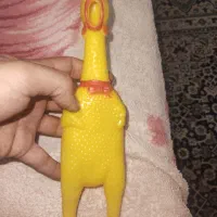 مرغ پلاستیکی