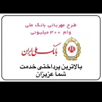 وام مهربانی ۳۰۰ میلیون ۱۸ ماه