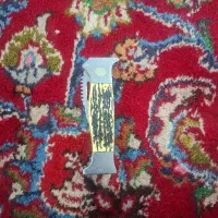 چاقو تمساحی