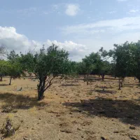 زمین در بافت روستا