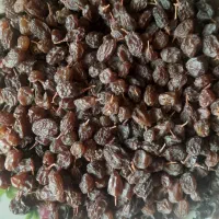 کشمش پلویی|خوردنی و آشامیدنی|ملایر, |دیوار